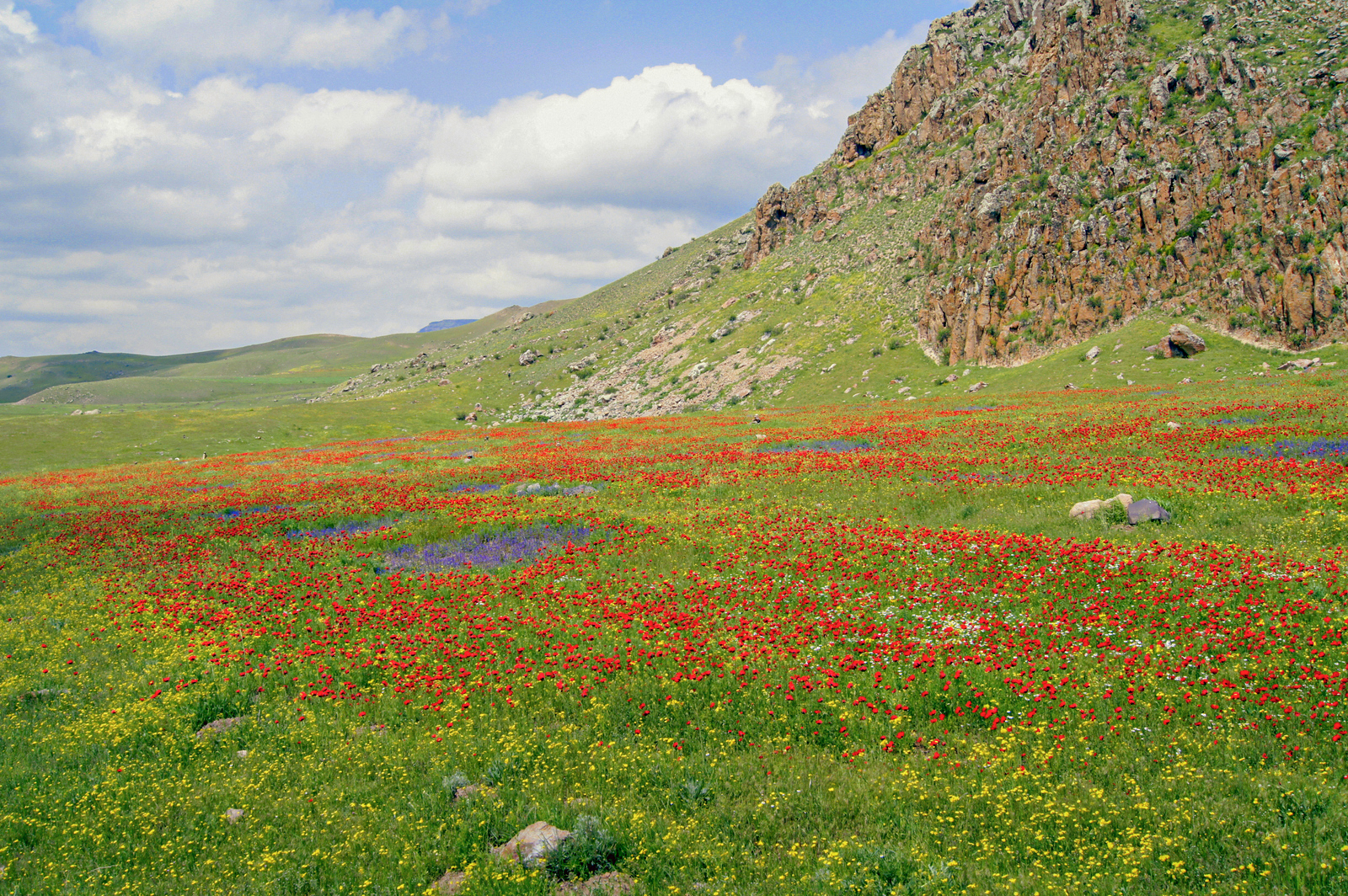 Gunindi Region, Kars Province, Turkey (3)